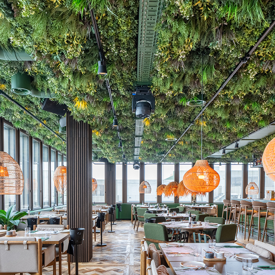 Amaya Restaurant & Bar, Rothenburg