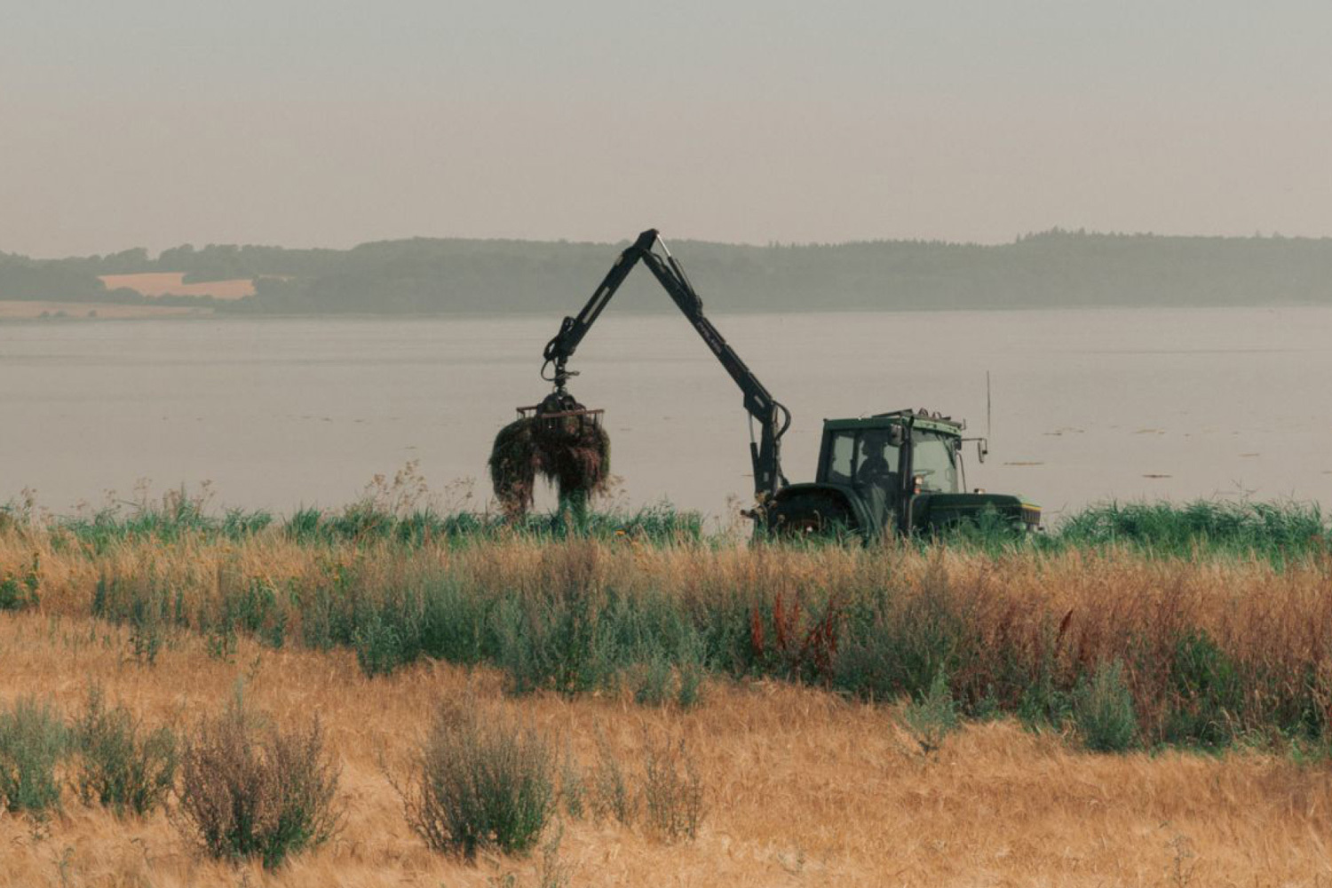 Bild Artikel: Aus Seegras hergestellte Akustikplatten